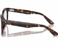 Ray-Ban Balorette Optics